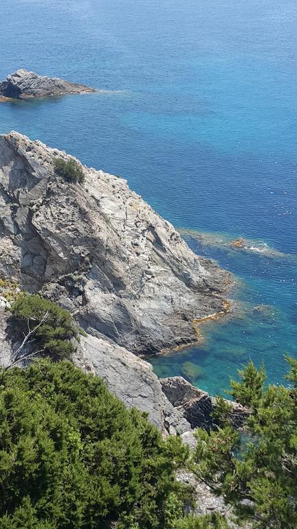 Hostellerie Provencale Port-Cros Dış mekan fotoğraf