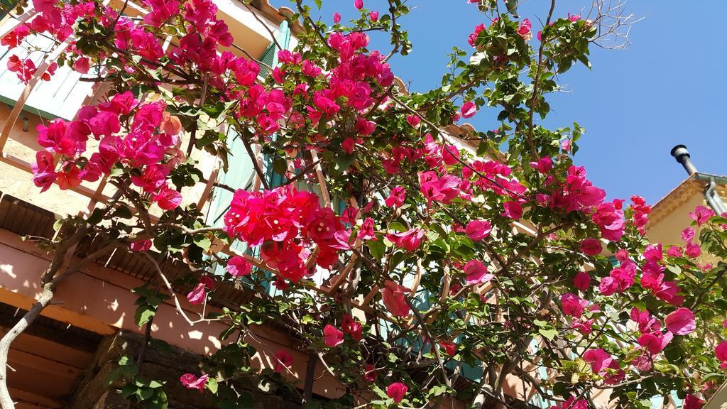Hostellerie Provencale Port-Cros Dış mekan fotoğraf